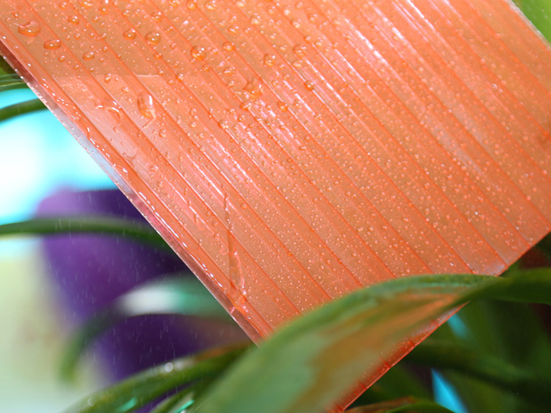 防霧滴陽(yáng)光板